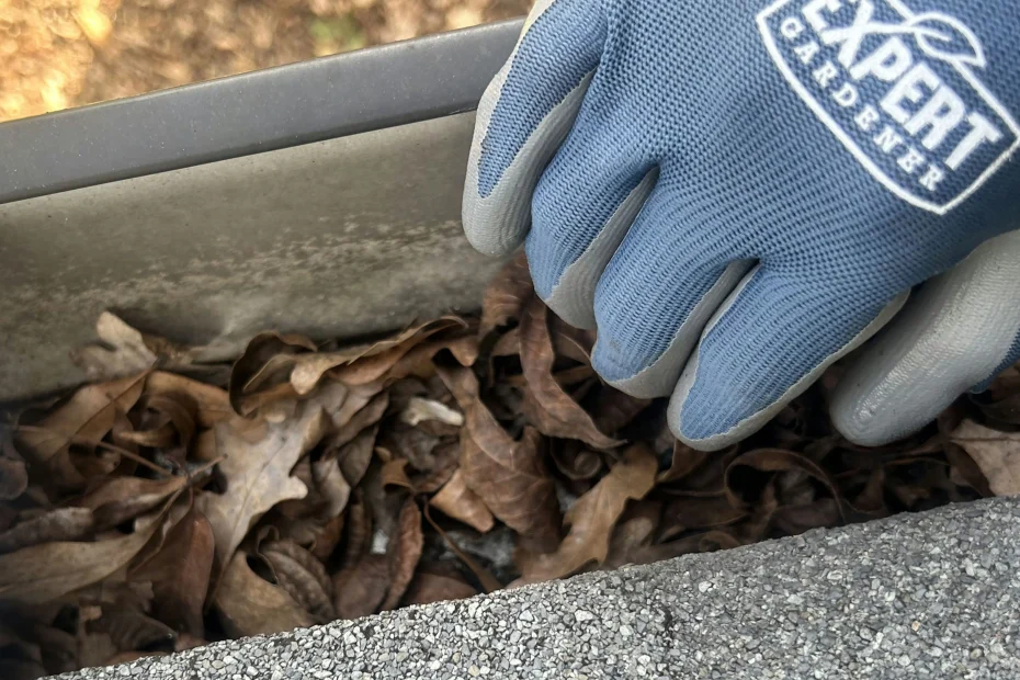 Gutter Cleaning Oakhaven