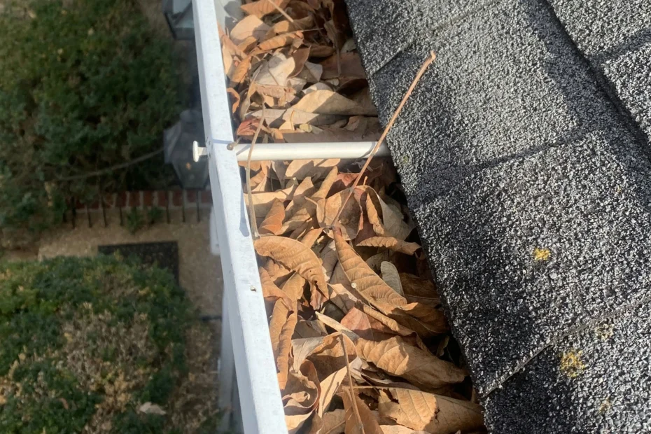 Gutter Cleaning Oakhaven