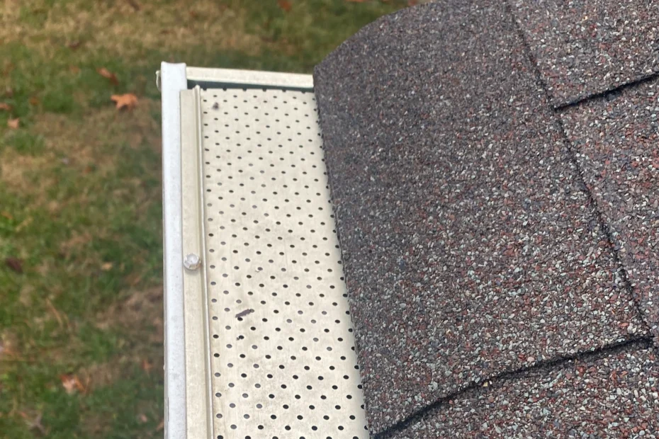 Gutter Cleaning Oakhaven