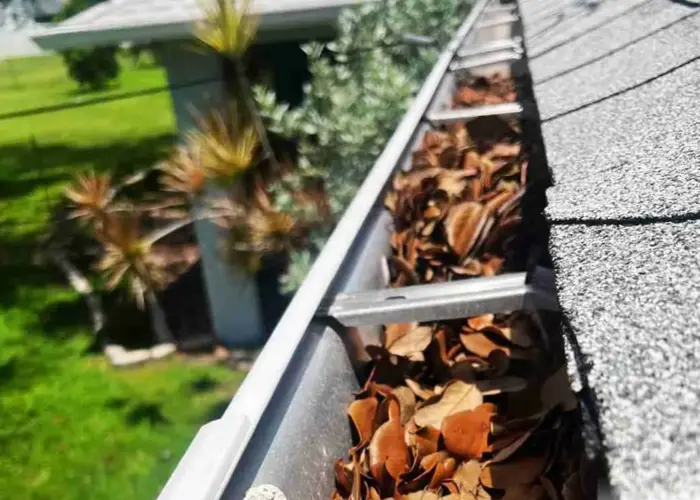 Gutter Cleaning Oakhaven home page